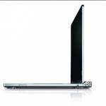 adamo13-500x440