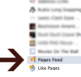 Pages.jpeg