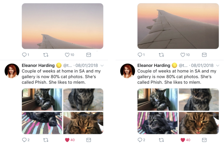 تويتر تلتفت للميديا في مطلع 2018 : تسهيل التقاط ومشاركة الفيديو و طريقة جديدة لقص الصور 4