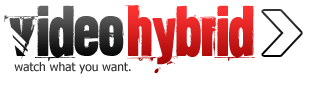 videohybrid