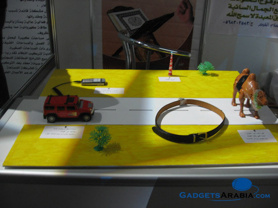 img_2424-copy.jpg