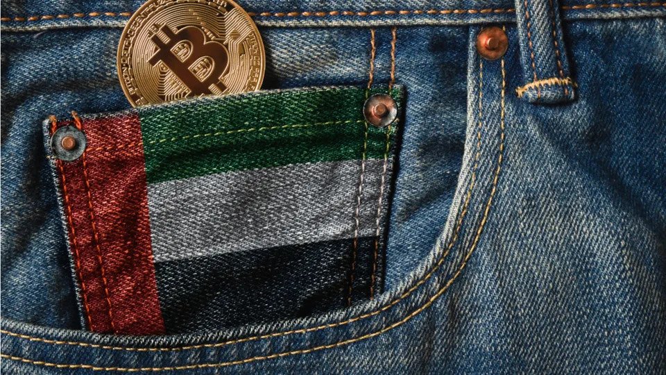 الإمارات العربية المتحدة تحذر رسمياً من التعامل في العملات المشفرة 11 الإمارات العربية المتحدة تحذر رسمياً من التعامل في العملات المشفرة