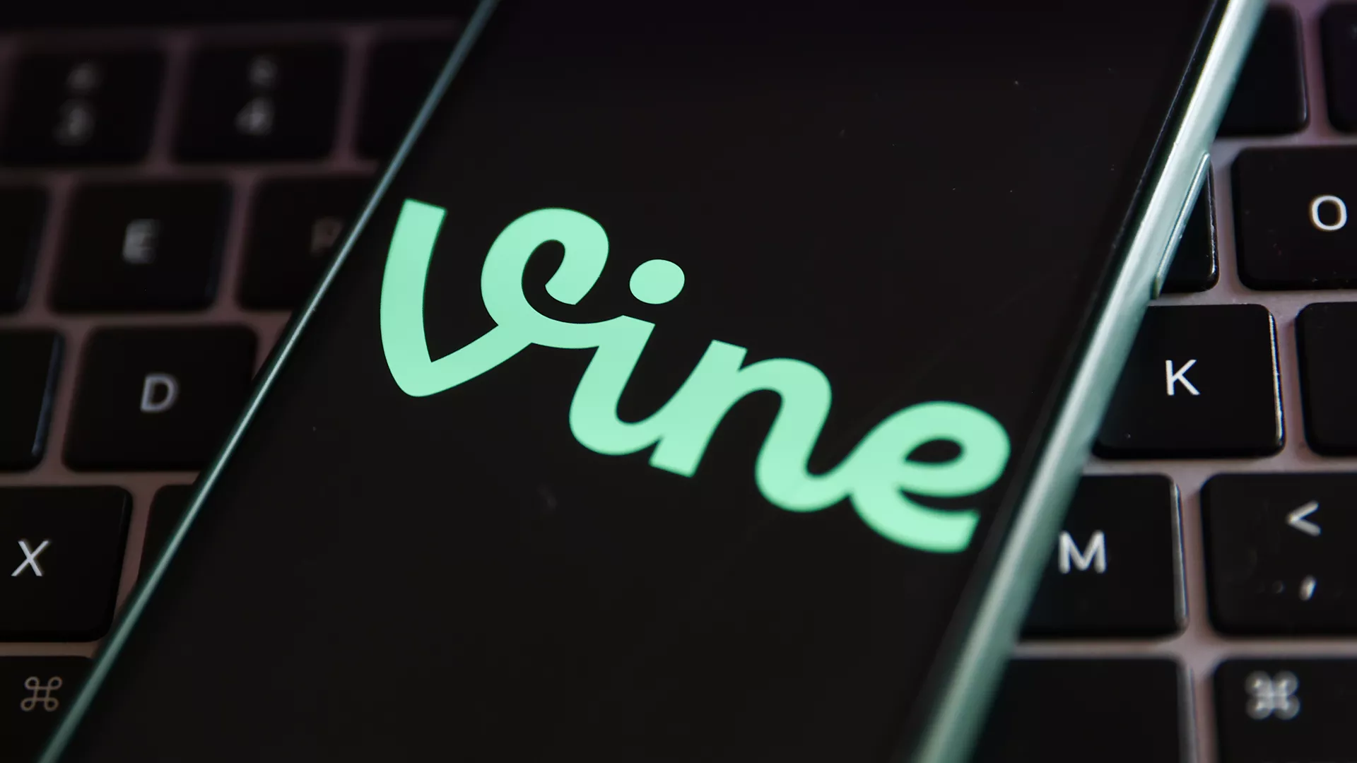 تويتر تعمل على عودة Vine وفق رغبة المالك الجديد 12 تويتر تعمل على عودة Vine وفق رغبة المالك الجديد 1