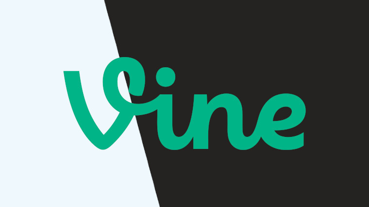 تويتر تعمل على عودة Vine وفق رغبة المالك الجديد 11 تويتر تعمل على عودة Vine وفق رغبة المالك الجديد