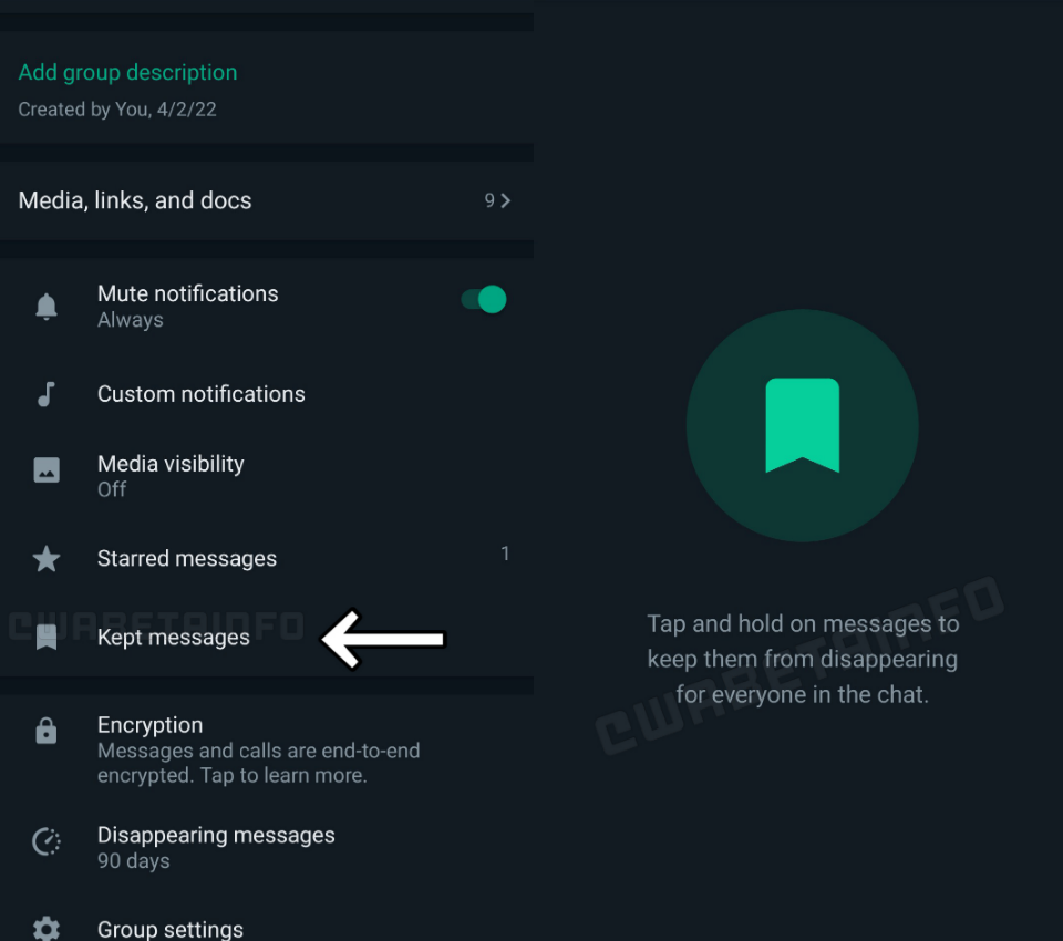 WhatsApp يضيف طريقة جديدة لحفظ رسائلك المختفية 12 WhatsApp يضيف طريقة جديدة لحفظ رسائلك المختفية 1