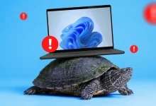 لماذا يبدو Windows 11 أفضل أحيانًا بدون الشفافية والأنيميشن؟ 14 لماذا يبدو Windows 11 أفضل أحيانًا بدون الشفافية والأنيميشن؟