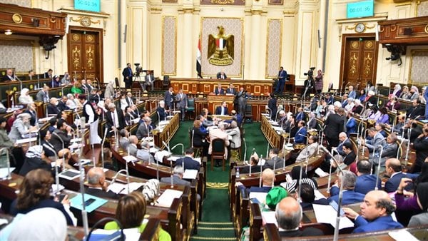 خبير دولي لتطبيق الذكاء الاصطناعي في المحاكم الاقتصادية بمصر 12 خبير دولي لتطبيق الذكاء الاصطناعي في المحاكم الاقتصادية بمصر 1