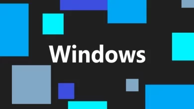 ميزة خلفية الفيديو تصل إلى Windows 11