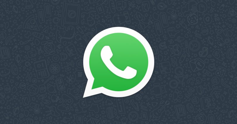 واتس اب تقول انها ستقاضي اي شركة تسيء استخدام تطبيق الاعمال 11 واتس اب تقول انها ستقاضي اي شركة تسيء استخدام تطبيق الاعمال