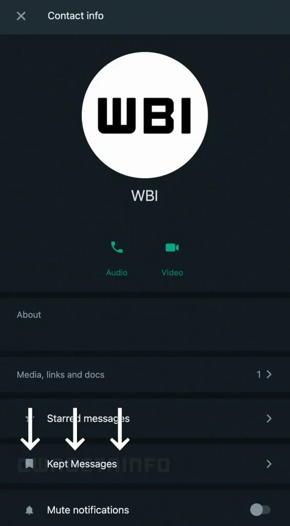 WhatsApp يختبر طريقة للتحايل على الرسائل المختفية تلقائياً 16 WhatsApp يختبر طريقة للتحايل على الرسائل المختفية تلقائياً 3