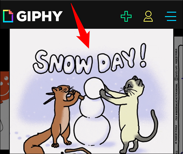 كيف تحفظ أي صورة GIF على هاتفك الآيفون 12 كيف تحفظ أي صورة GIF على هاتفك الآيفون 1