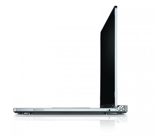 adamo13-500x440