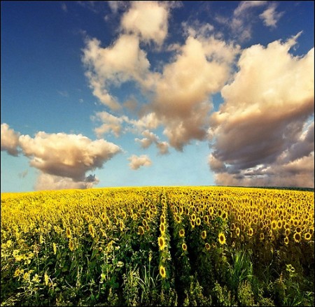 light-rays-cloudysky
