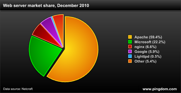 تقرير يرصد الانترنت خلال عام 2010 6