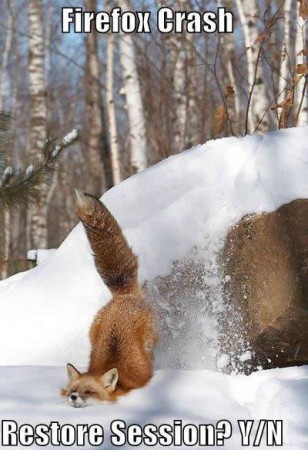 firefox-crash