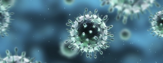 virus-645x250