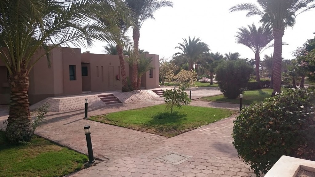 مقالات_سوالف