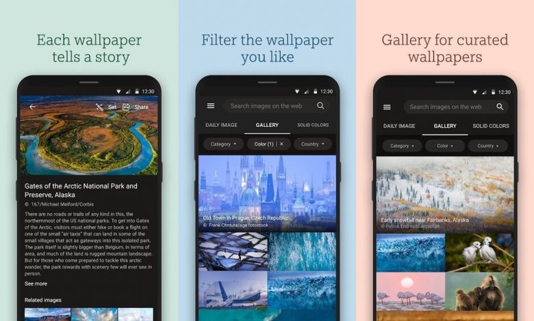 Bing Wallpapers تطبيق جديد للخلفيات من مايكروسوفت