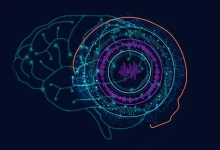 Google Research تكشف عن تقدّم علمي جديد