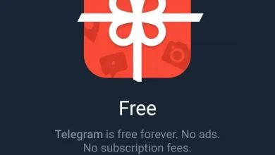 Telegram Premium قادم في 2022 - وداعاً للمجانية