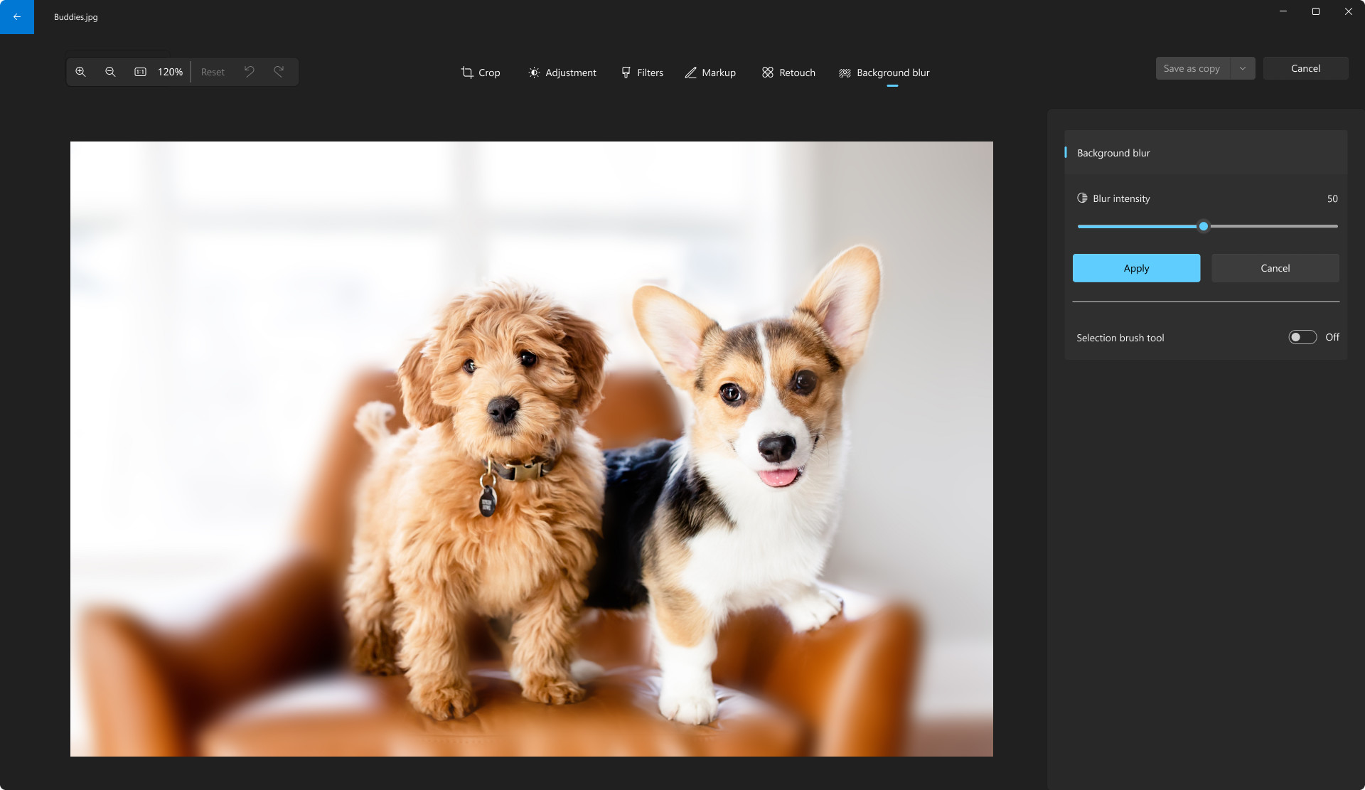 Windows Photos يحصل على تحديثات جديدة مثيرة 11 Windows Photos يحصل على تحديثات جديدة مثيرة