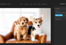 Windows Photos يحصل على تحديثات جديدة مثيرة