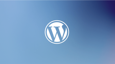 WordPress 6.2.1 اصدار أمنى جديد متاح