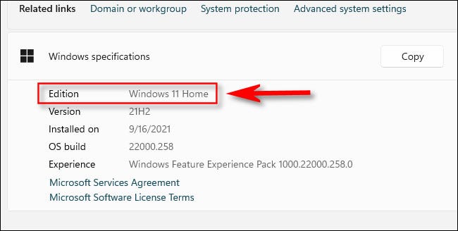 كيف تتحقق مما إذا كنت تقوم بتشغيل Windows 11 Home أو Pro Edition 22 كيف تتحقق مما إذا كنت تقوم بتشغيل Windows 11 Home أو Pro Edition 9