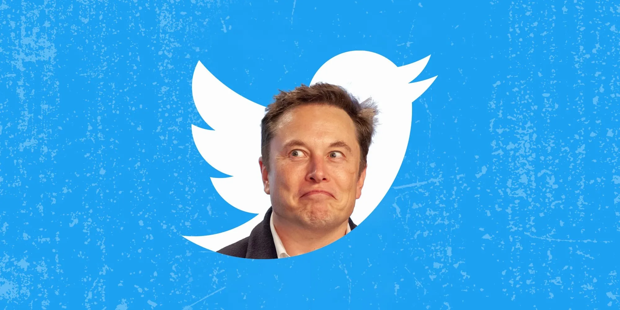 إيلون ماسك يصبح الرئيس التنفيذي لشركة تويتر بعد الاقتراب من إتمام الصفقة