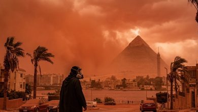 العاصفة الدموية في مصر؟ الذكاء الاصطناعي يحسم الجواب 19 العاصفة الدموية في مصر؟ الذكاء الاصطناعي يحسم الجواب