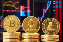 العملات المشفرة والاستثمار طويل المدى