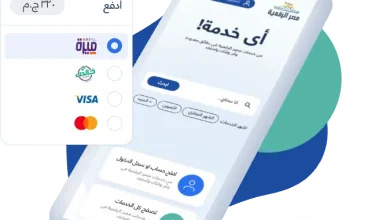 بوابة مصر الرقمية: قاطرة التحول الرقمي وأهم الخدمات المقدمة للمواطن