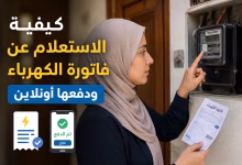 كيفية الاستعلام عن فاتورة الكهرباء ودفعها أونلاين في 2026