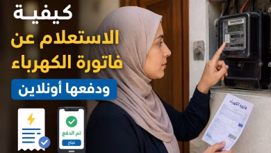 كيفية الاستعلام عن فاتورة الكهرباء ودفعها أونلاين في 2026