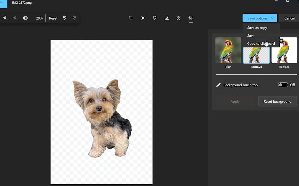 مايكروسوفت تضيف ميزة حذف الخلفية في تطبيق الصور