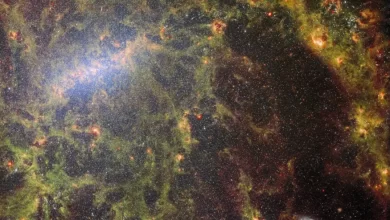ناسا تنشر أحدث صور تلسكوب ويب - ميلاد نجوم جديدة